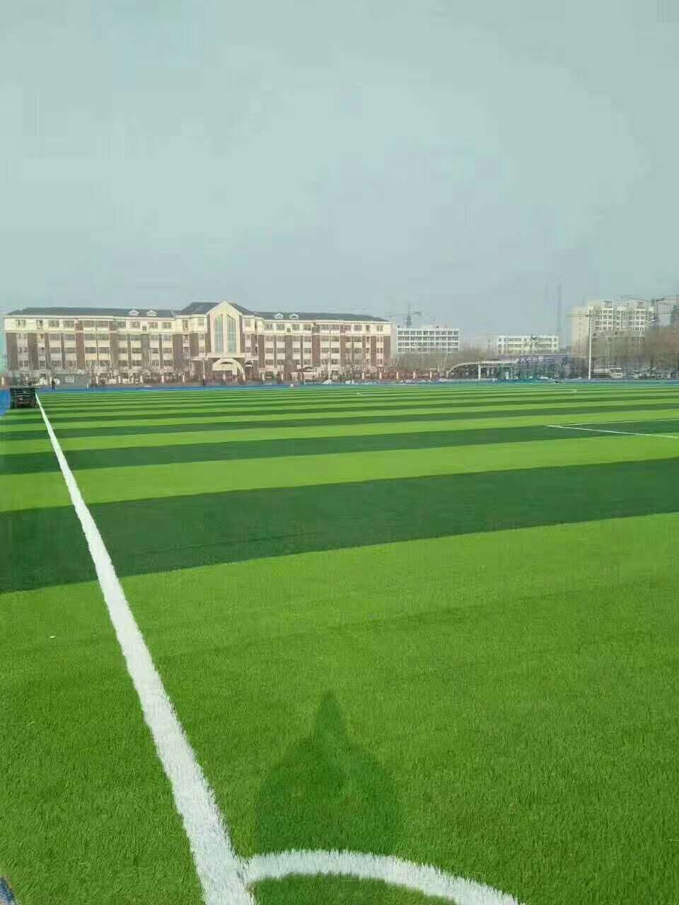 大庆市新国标塑胶跑道仿真草坪 - 方案